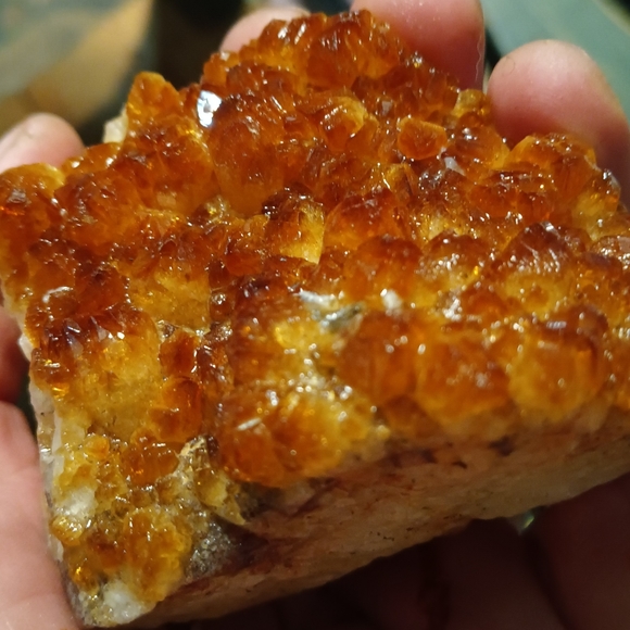 Meet your Posher, Sonoran Uniquities - Picture 9 of 10